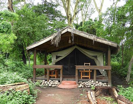 bo i junglen africa tours