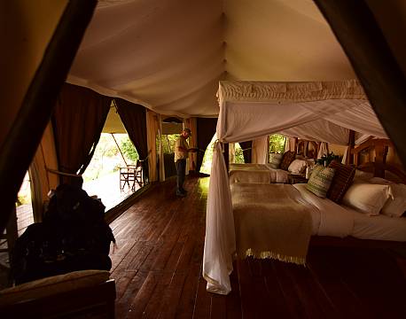 dobbeltsenge i telt africa tours