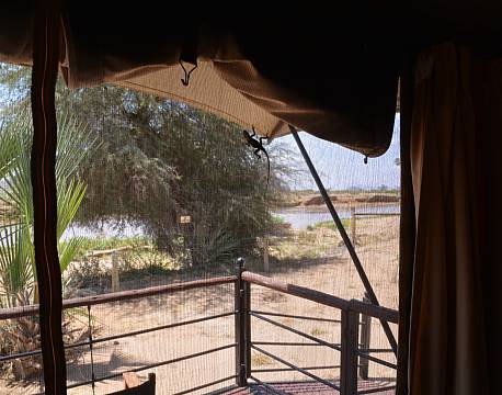 bo op ad dyrene africa tours