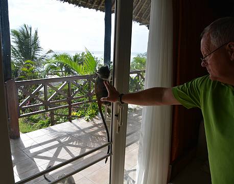 indkvartering afrika tæt på dyrene africa tours