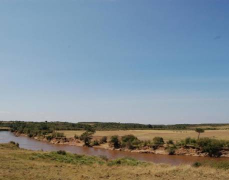  Mara Intrepids Camp kenya 10 africa tours