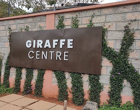 giraffe center nairobi africa tours