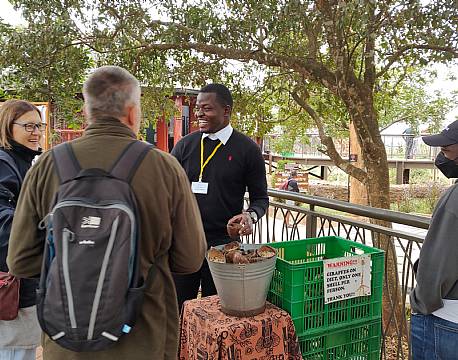 girafmad africa tours