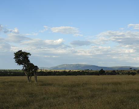blå himmel over savannen africa tours