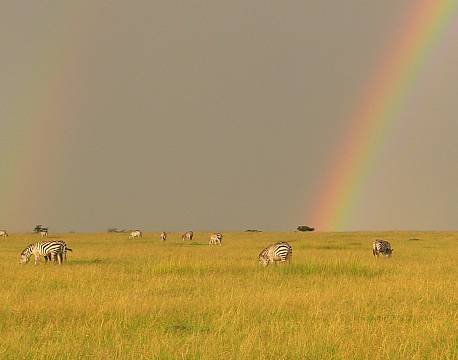 savanne med regnbue africa tours