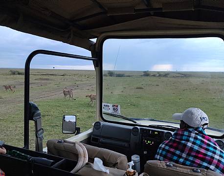 safarijeep africa tours