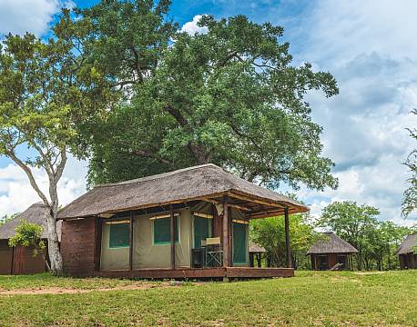 Shindzela Tented Camp, Timbavati sydafrika 1 africa tours