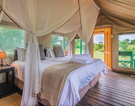 Shindzela Tented Camp, Timbavati sydafrika 4 africa tours