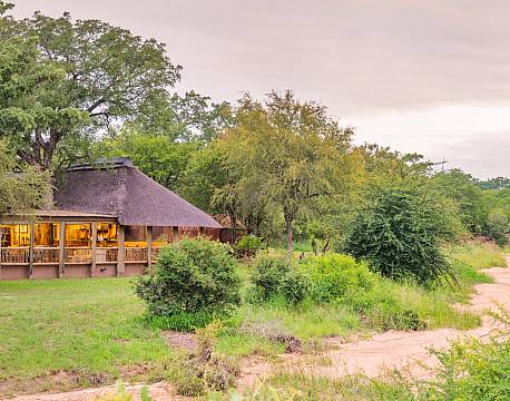 Shindzela Tented Camp, Timbavati sydafrika 7 africa tours