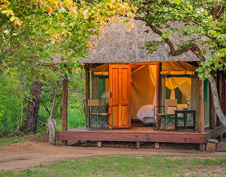 Shindzela Tented Camp, Timbavati sydafrika 10 africa tours