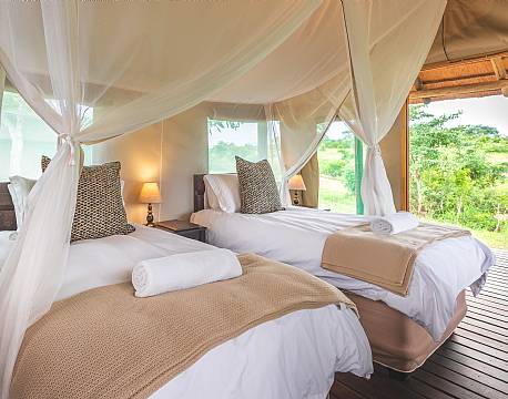 Shindzela Tented Camp, Timbavati sydafrika 11 africa tours