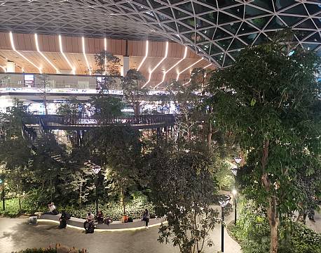 skov indenfor africa tours