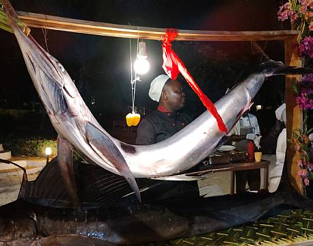 fisk zanzibar africa tours