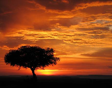 solnedgang over savannen safari africa tours