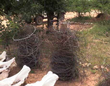 safarihegn safari i afrika africa tours