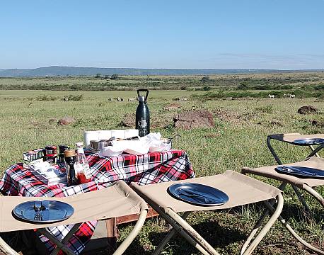 mad på savannen africa tours