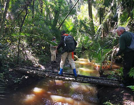 junglebro africa tours