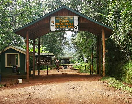 bwindi impenetrable national park africa tours
