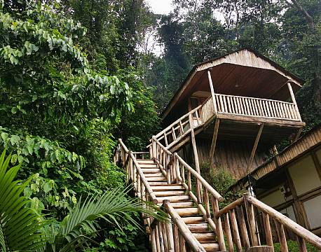 hytte i junglen africa tours