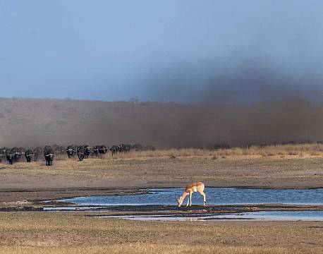 Sable Valley zimbabwe 8 africa tours 