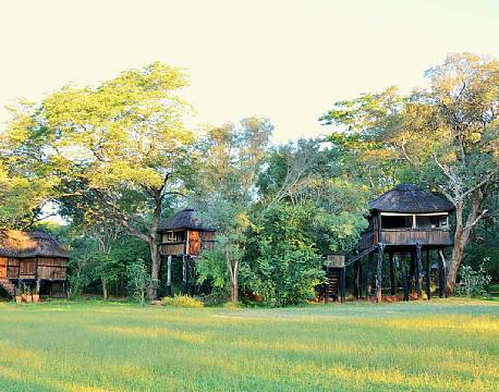 Ivory Lodge zimbabwe 1 africa tours