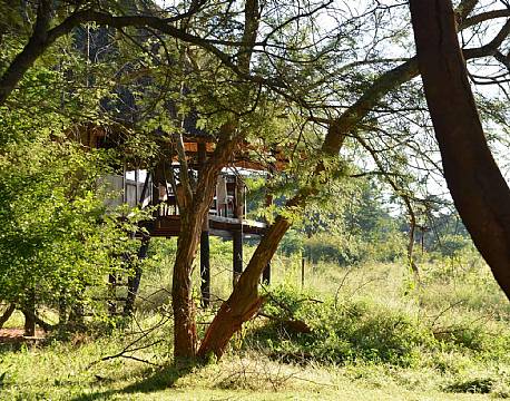 Ivory Lodge zimbabwe 4 africa tours