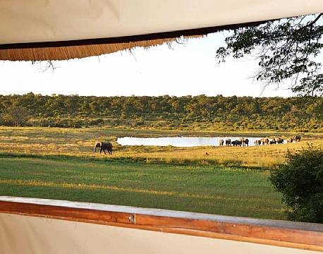 Ivory Lodge zimbabwe 5 africa tours