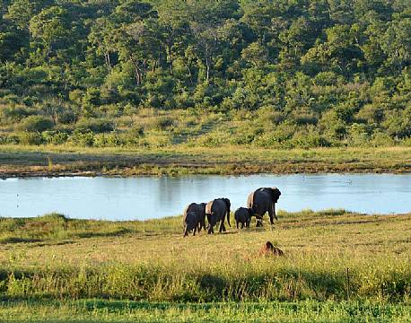 Ivory Lodge zimbabwe 9 africa tours