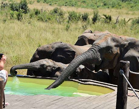 Khulu Bush Camp zimbabwe 11 africa tours