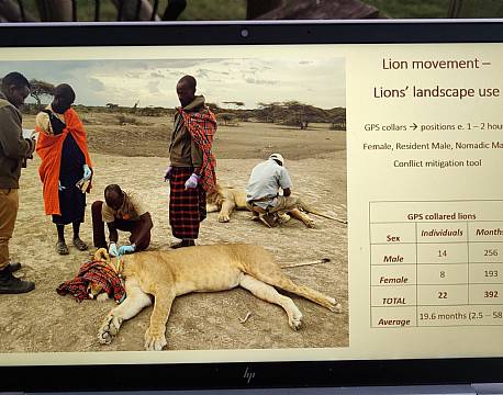 løvers rute africa tours