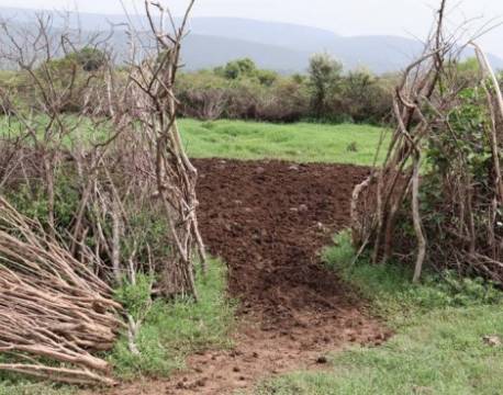 åbent hegn africa tours