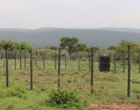 savanne hegn africa tours