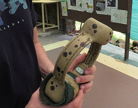 halsbånd med sporingschip africa tours