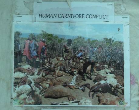 human carnivore map africa tours