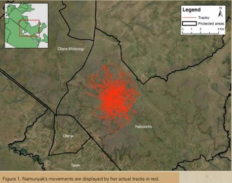 dyrerute kort africa tours