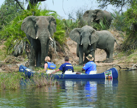 Elefanter i Victoria falls opleves fra kano zimbabwe Victoria falls Zimbabwe africa tours