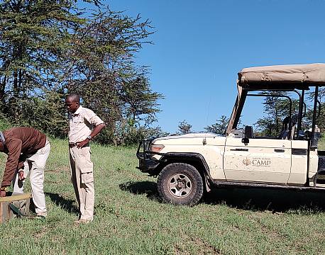 safaribil med guide savanne africa tours