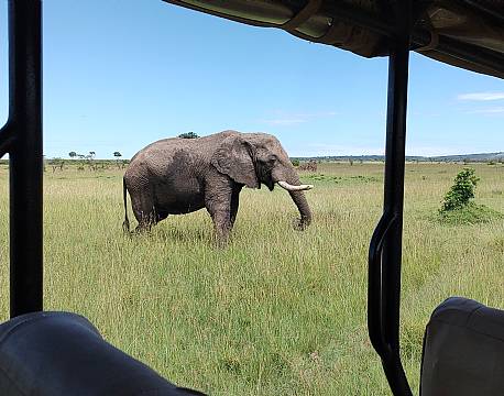 karen blixen camp elefantsafari africa tours