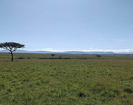 safarislette africa tours