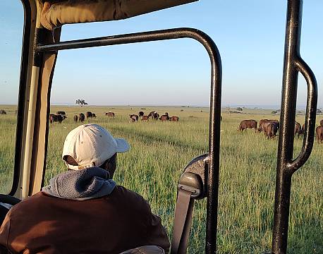 karen blixen camp safari tæt på africa tours