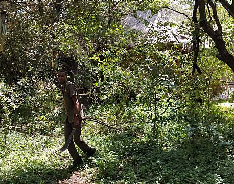 medarbejder i skoven africa tours