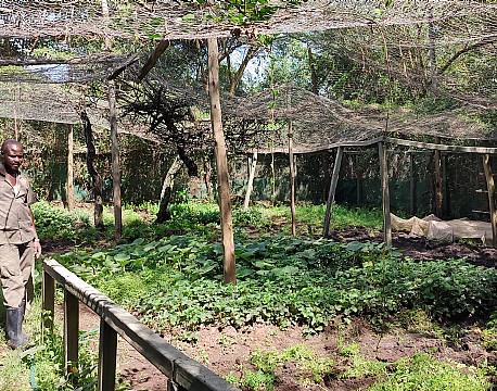 safari karen blixen camp africa tours