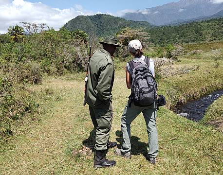 safari i skoven med guide africa tours