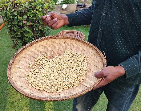 grønne kaffebønner africa tours