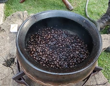 kaffebønner tanzania africa tours