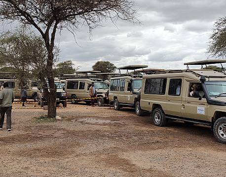 safaribiler tanzania africa tours