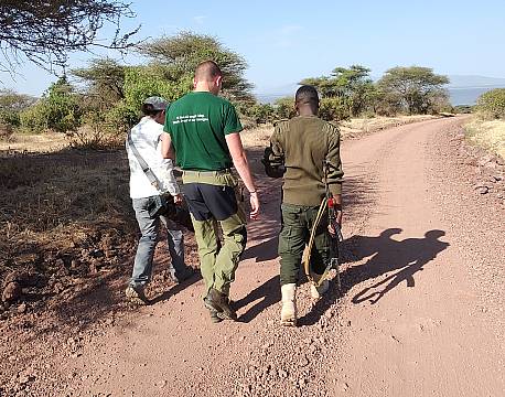 safariguides africa tours