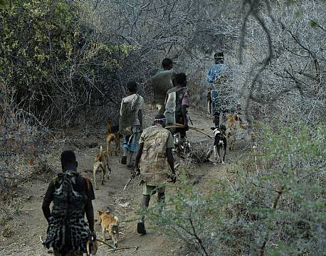 safari tanzania med guide og hunde africa tours