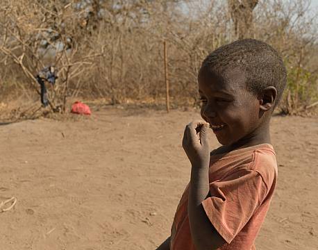 tanzania barn africa tours