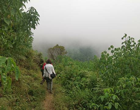 hike i bjergene africa tours
